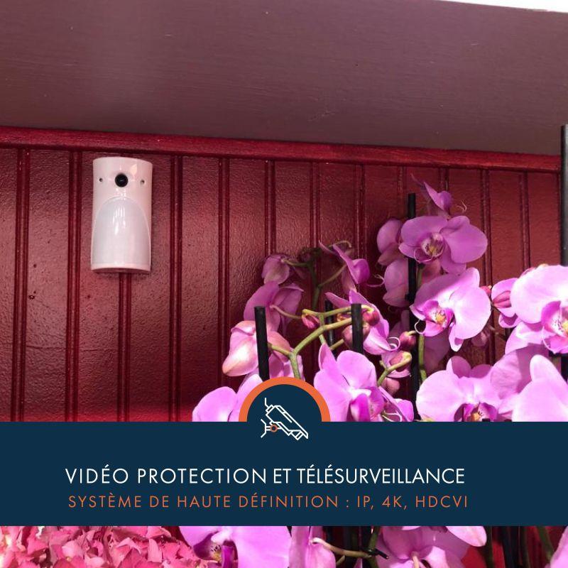 Installation de Télésurveillance et Vidéo protection